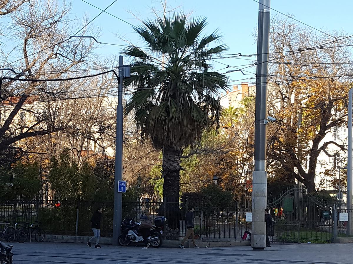 Hotel Saint Roch Montpellier Centre Dış mekan fotoğraf