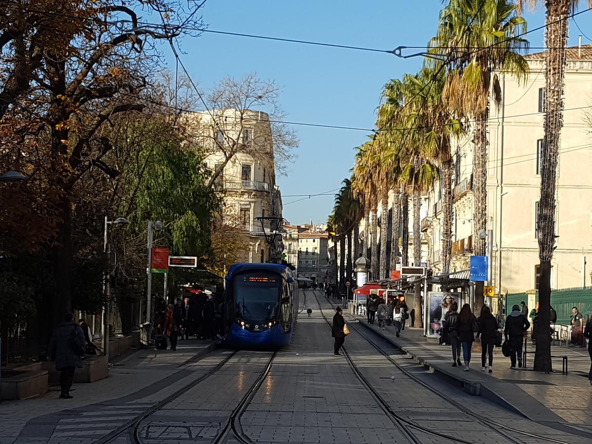 Hotel Saint Roch Montpellier Centre Dış mekan fotoğraf